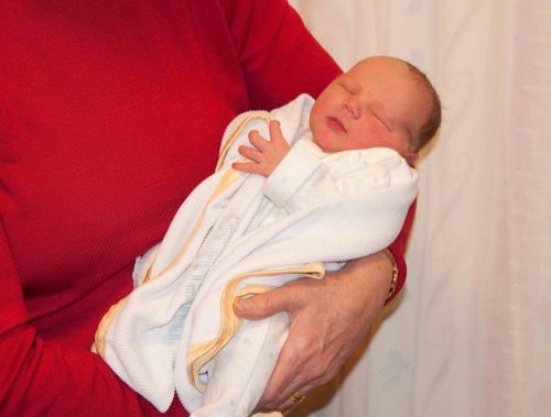 Herself_landsburgh_jarvis