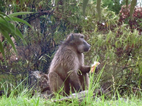 Sa20100222_12-43-17blg