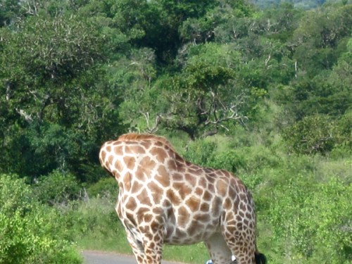 Sa20100224_19-49-54blg