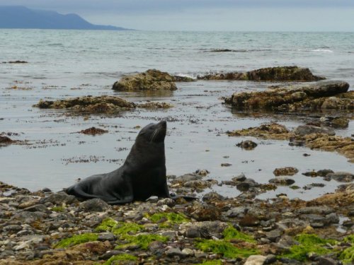 25569_369653164523_546664523_4