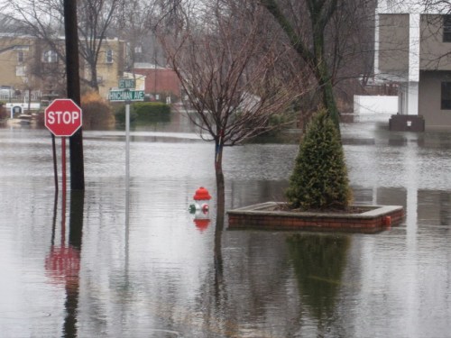 Dnv20100313_20-46-32