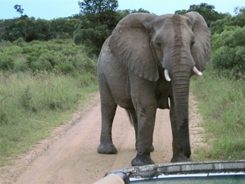 Sa20100224_23-25-29blg