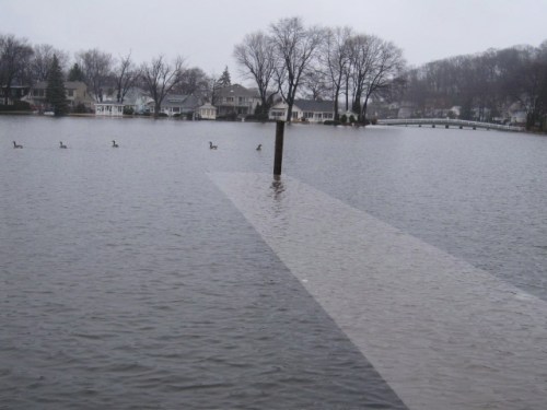 Dnv20100313_19-41-13