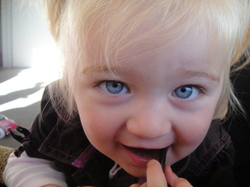 25231_383884763506_667258506_4