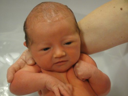 38738_417237203506_667258506_4